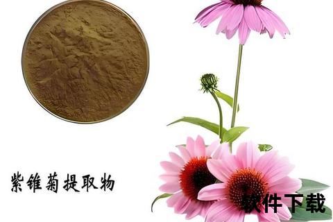 紫锥菊副作用详解：常见不良反应与使用禁忌