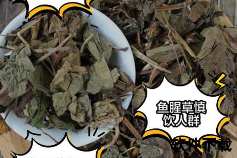鱼腥草副作用警示-过敏反应与禁忌人群的科学解读