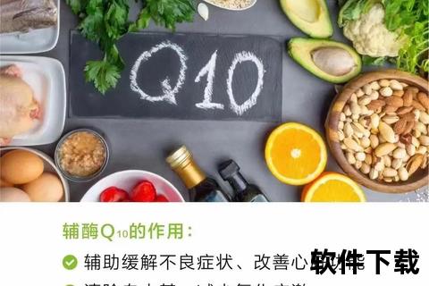 纽徕佛维生素：科学配比助力健康生活-提升免疫力与营养平衡
