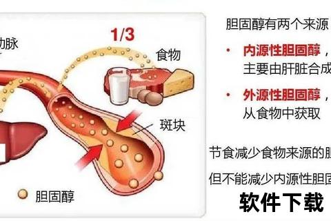 胆固醇高危害：动脉硬化_心脑血管疾病_肾衰竭风险