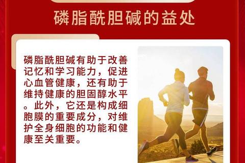 浓缩磷脂软胶囊作用解析：护肝降脂与营养补充功效