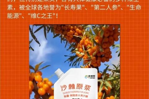 沙棘保健品_天然果萃营养赋能免疫力提升与健康守护
