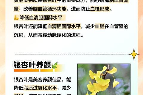 银杏叶的黄金功效-改善循环_增强记忆与抗氧化的自然奥秘