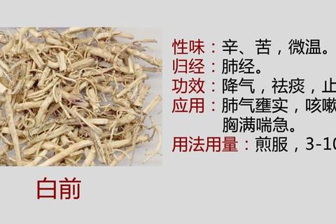 白前功效与作用详解:镇咳祛痰及临床应用探析 白前功效与作用详解:镇咳祛痰及临床应用探析