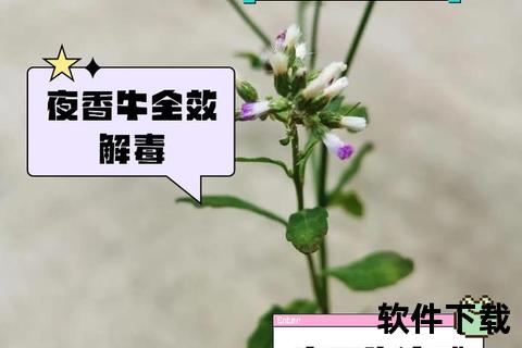 牛的功效与作用解析：药用价值_日常应用及保健优势