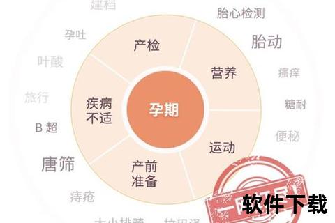 孕期健康与科学备孕指南-如何正确看待怀孕全过程