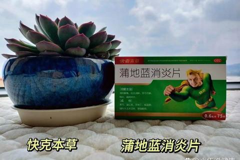 蓝蒲地消炎片：天然抗炎成分解析与适用症状指南