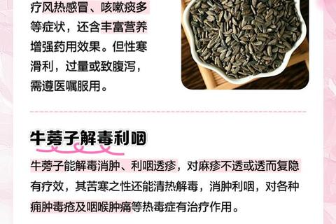 牛蒡子：清热解毒_润肠通便_抗菌消炎功效解析