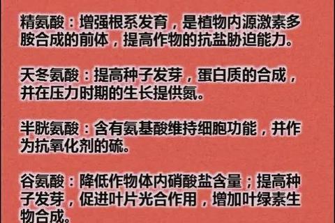 氨基酸片功效解析：全面了解其核心作用与健康益处