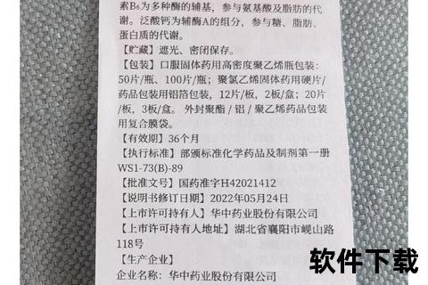 复合维生素B:核心成分解析与高效健康补充指南