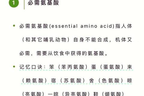 氨基酸口服液核心功效解析：作用机制与适用人群指南