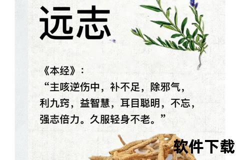 蜜远志功效与作用解析：健康益处及适用人群指南