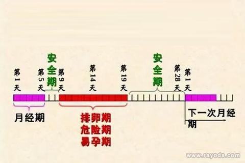 月经前一天同房会怀孕吗_安全期怀孕风险全解析