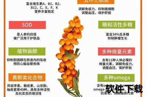 复方沙棘：天然抗氧化与肌肤修复功效深度解析