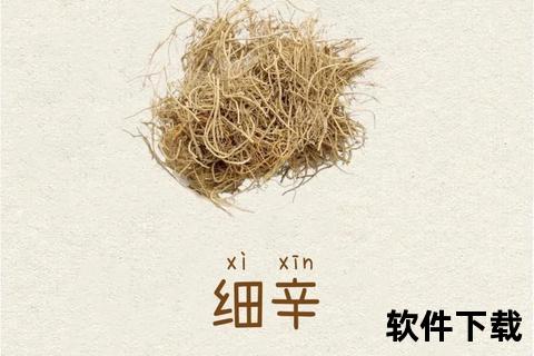 细辛功效与作用详解：散寒止痛-通窍活络的临床应用