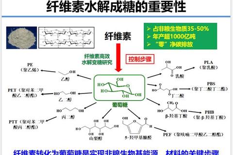 纤维素片作用解析-促进消化健康与代谢调节的关键机制