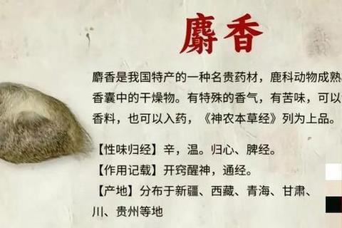 麝香：活血通经_开窍醒神与芳香定香的双重奥秘