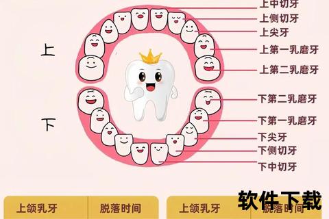 儿童换牙年龄解析：几岁开始换大牙及护理要点指南