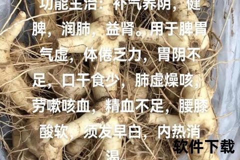 黄精滋阴润肺与免疫调节功效探析_传统补益良药的现代应用 黄精滋阴润肺与免疫调节功效探析_传统补益良药的现代应用
