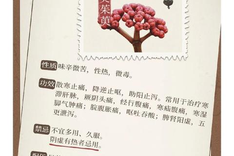 吴茱萸功效解析：散寒止痛_温中降逆的药用价值探秘