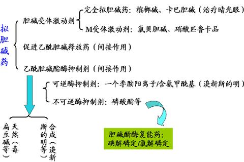 肝胆用药临床研究与应用进展-关键机制与治疗策略解析