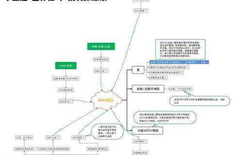 激素作用机制与调控效应：生命活动的化学信使解析