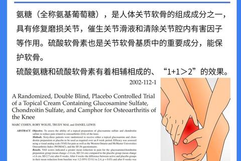 氨基葡萄糖作用解析：关节健康_软骨修复与抗炎功效