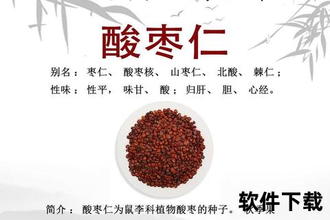 复方酸枣仁安神助眠机制解析及临床应用研究进展