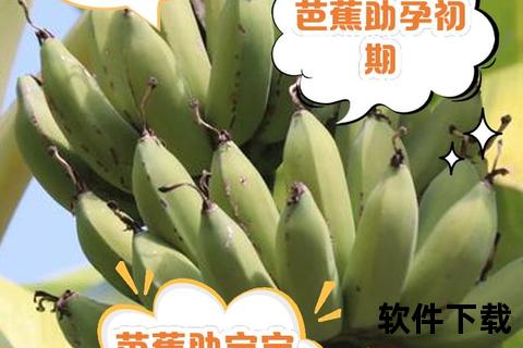 芭蕉的十大健康功效解析_天然食材的药用价值与营养作用
