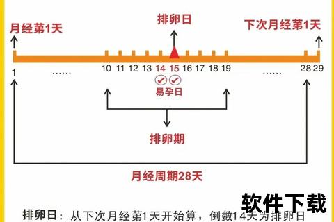 月经前一天同房会怀孕吗_安全期与排卵期风险解析