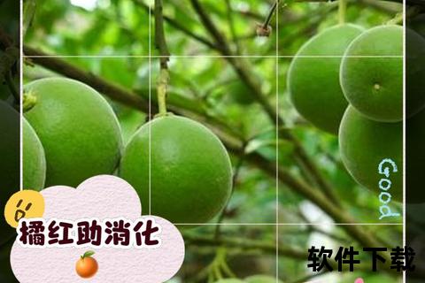橘红胶囊：止咳化痰功效解析与适用人群指南