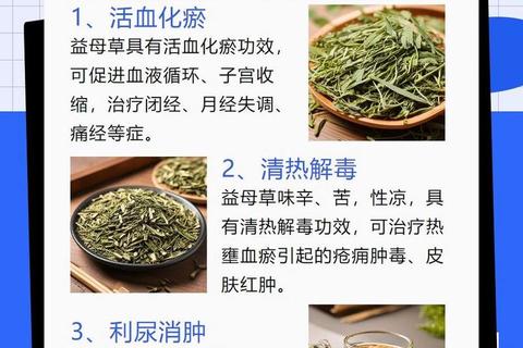益母草调理月经不调的作用机制与临床应用解析