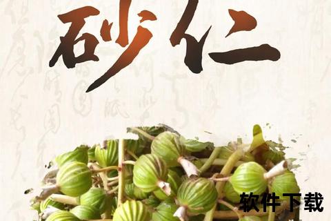 砂仁功效与作用解析：健脾胃_促消化_缓解不适