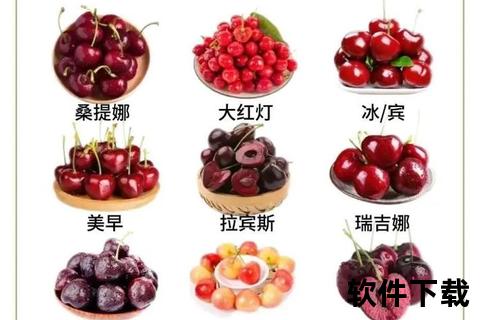 樱桃成熟时间解析:5-6月最佳采摘期与品种差异 樱桃成熟时间解析:5-6月最佳采摘期与品种差异