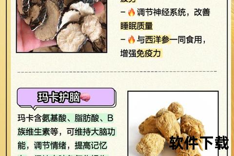 黑玛卡片核心作用解析-功能优势与应用场景深度解读