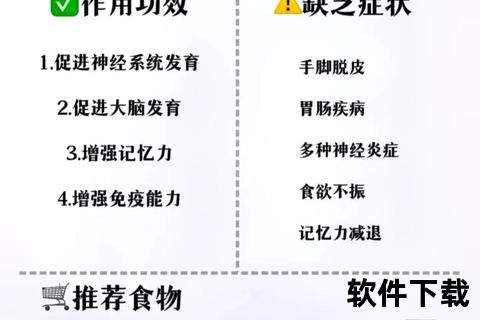 维生素B的作用与补充指南-维持健康不可或缺的关键营养素