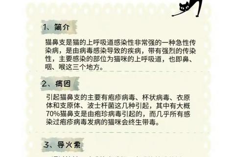 鼻咽炎用药指南:科学选药与规范治疗策略解析