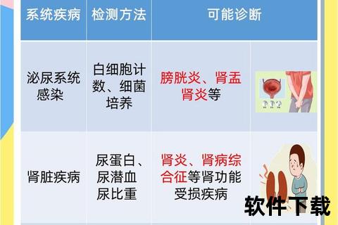 尿维生素C对尿常规检测的干扰效应及临床意义