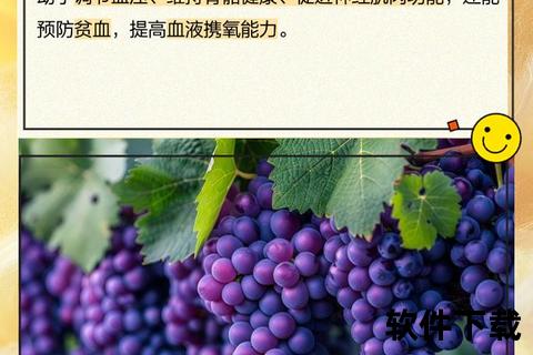 葡萄维生素解析：天然营养源泉与健康奥秘探秘