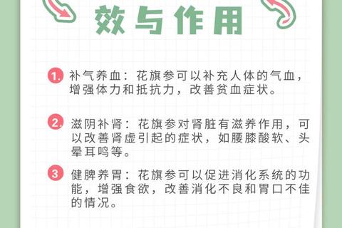 花旗参核心功效解析：补气养阴与免疫调节作用