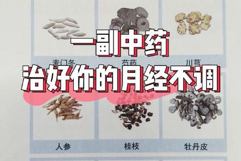 中药调治月经不调_传统配伍与体质调理的辩证施治解析