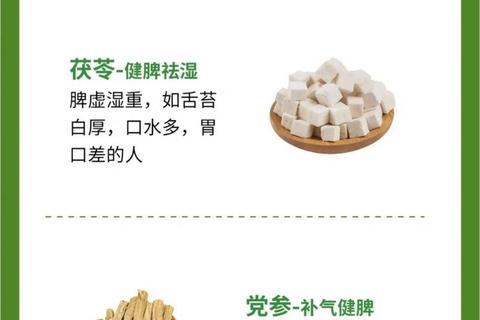 脾虚用药_中医调理方法与常用药物解析