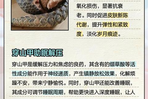 穿山甲功效与作用解析：传统药用价值及现代应用探秘