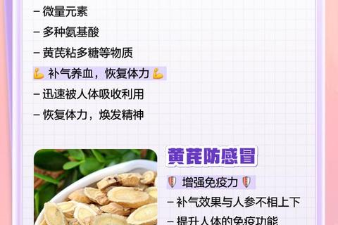 黄芪泡水功效与作用_补气养血增强免疫的健康益处解析