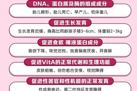 锌：维持人体健康的关键元素及其多重功效解析