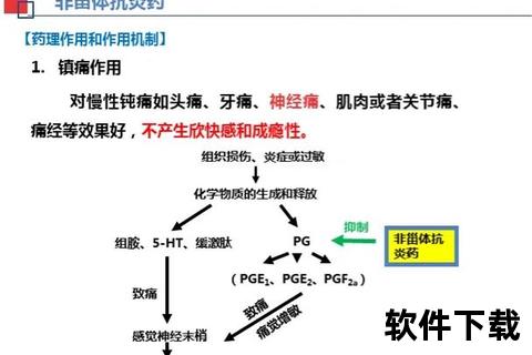 软组织损伤消炎药_作用机制与临床应用研究