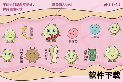 妇科乳杆菌_微生态平衡与健康的关键守护者