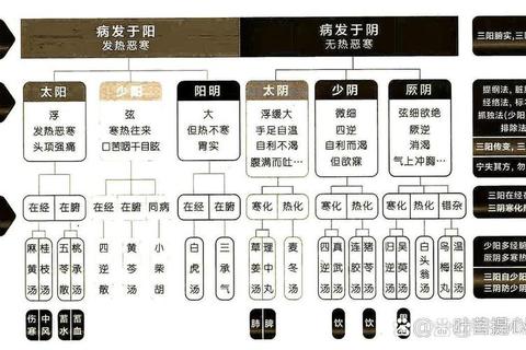 妇科月经不调中医药治疗_辨证施治与周期调理策略探析