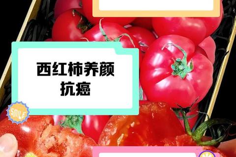 番茄红素：抗氧化护心防癌与增强免疫的多维健康效应