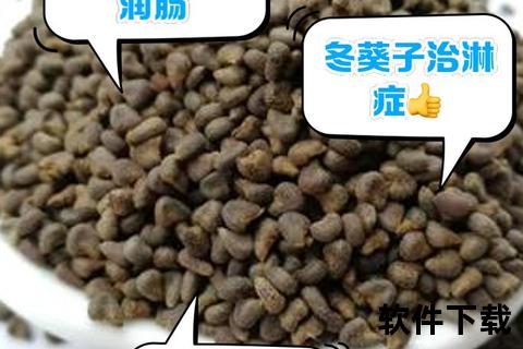 冬葵子：利水通淋_润肠通便与下乳通乳功效详解